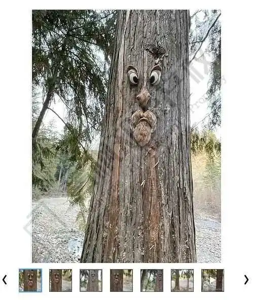 亚马逊3000+链接的热门雷品:气球狗!(花园雕塑及蝴蝶版权曝光!)