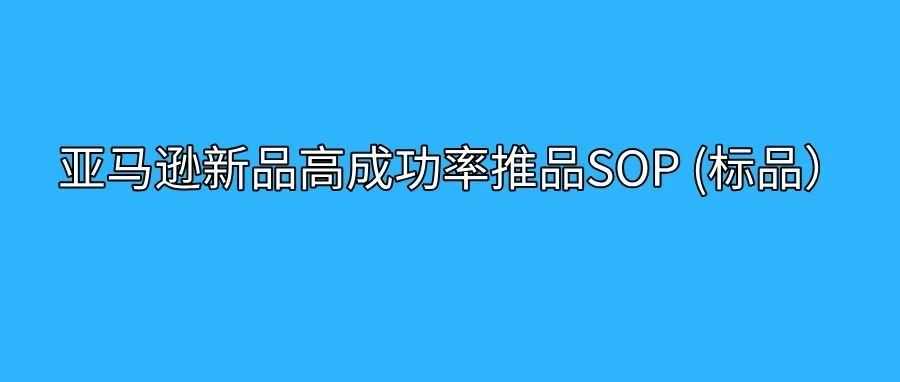 亚马逊资料-亚马逊新品高成功率推品SOP (标品）