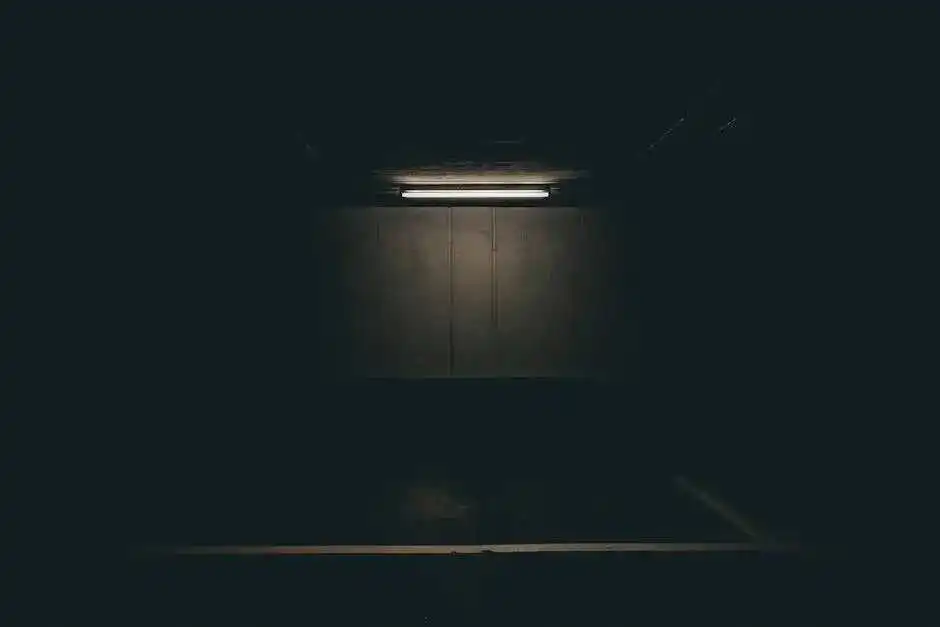 亚马逊黑五,涨起来了?
