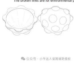 精选11款12月3日最新下证常见产品美国外观专利，警惕侵权！