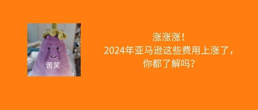 2024年亚马逊这些费用上涨了，卖家们发现了吗？