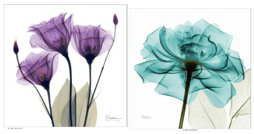 绝！TRO和解金从3W+美金压低到1K？仅需1天下和解书！点击查看本周案例汇总~