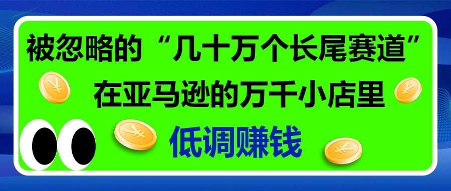 被忽略的“几十万个长尾赛道”,在亚马逊的万千小店里低调赚钱