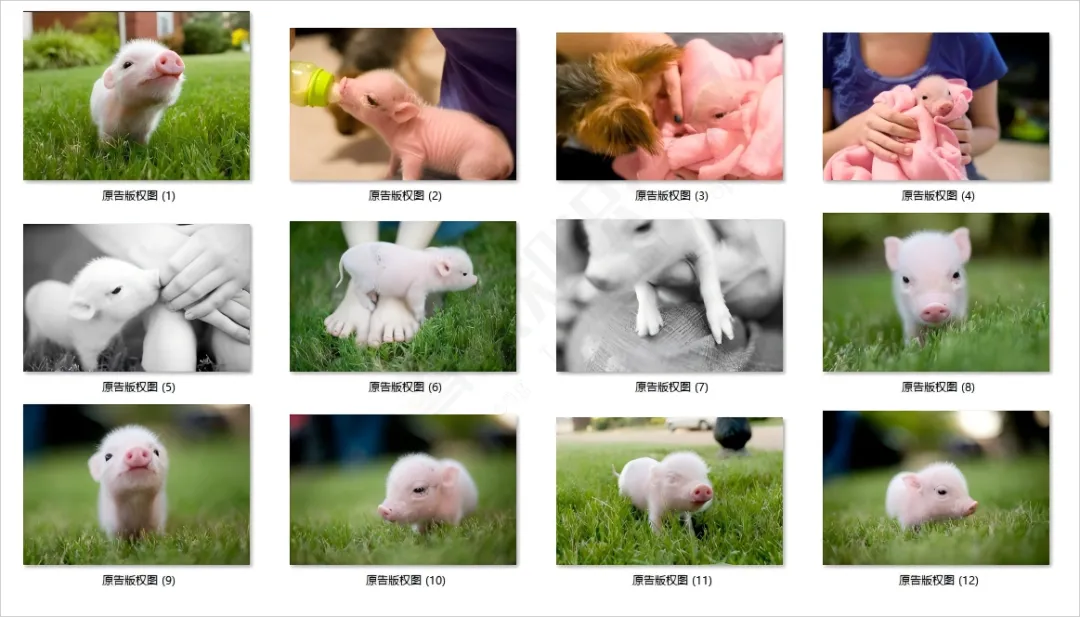 亚马逊3000多条手表壳的链接里,有多少卖家中招?原告已提TRO了..