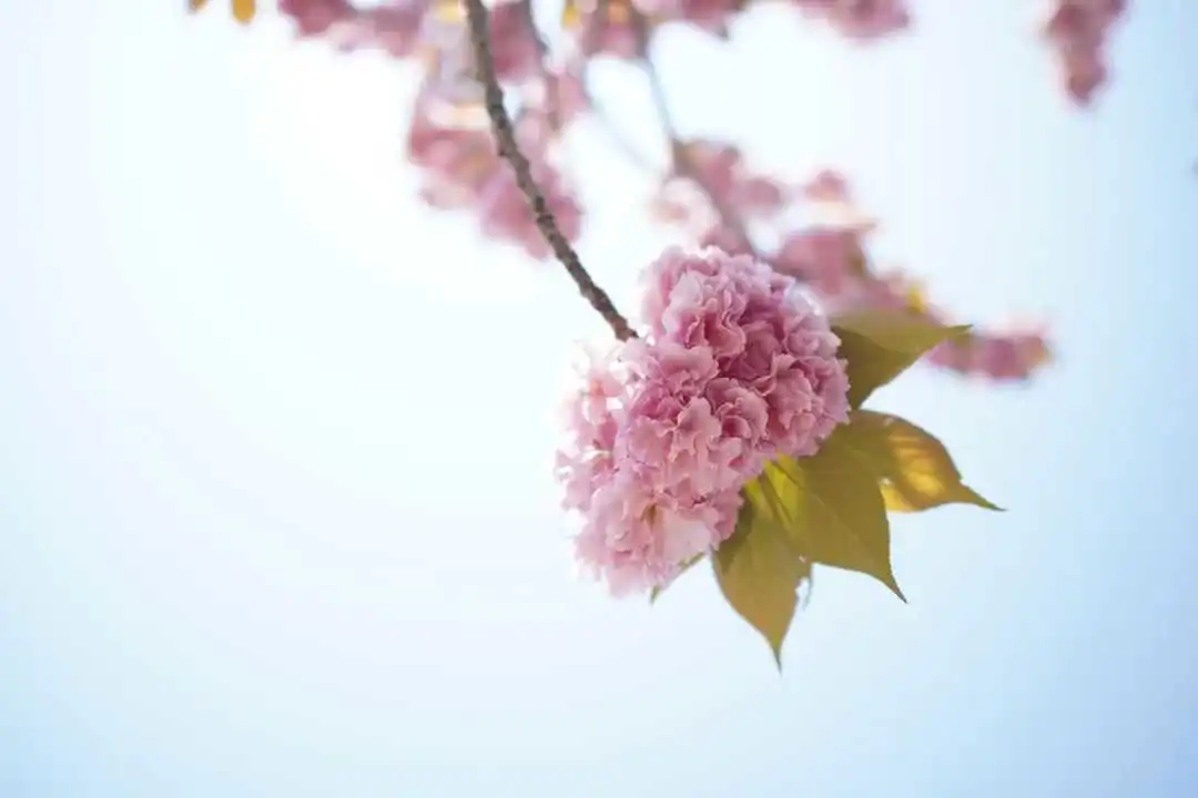 想清楚这些事，做亚马逊会轻松很多