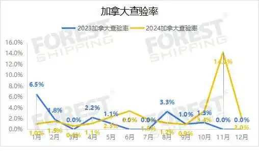 数读2024，大森林2024年度报告来啦！