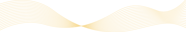 数读2024,大森林2024年度报告来啦!