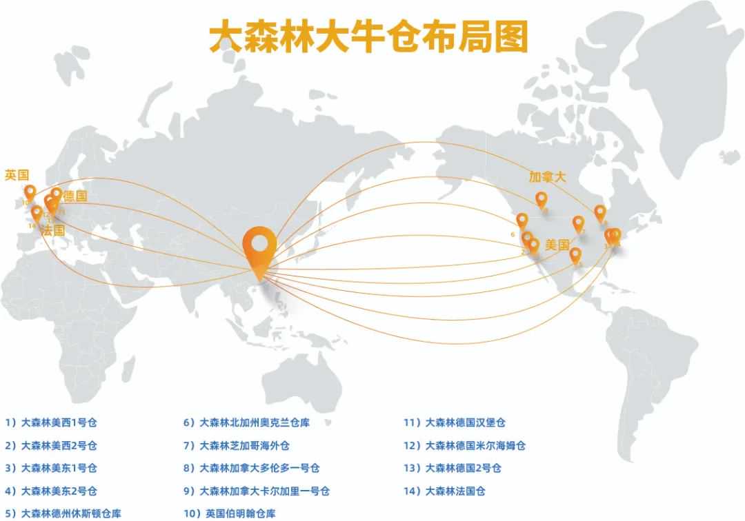 数读2024,大森林2024年度报告来啦!