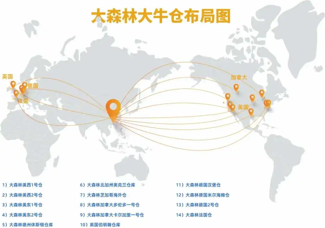 数读2024，大森林2024年度报告来啦！