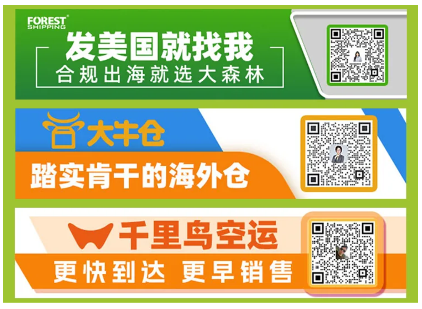 数读2024,大森林2024年度报告来啦!