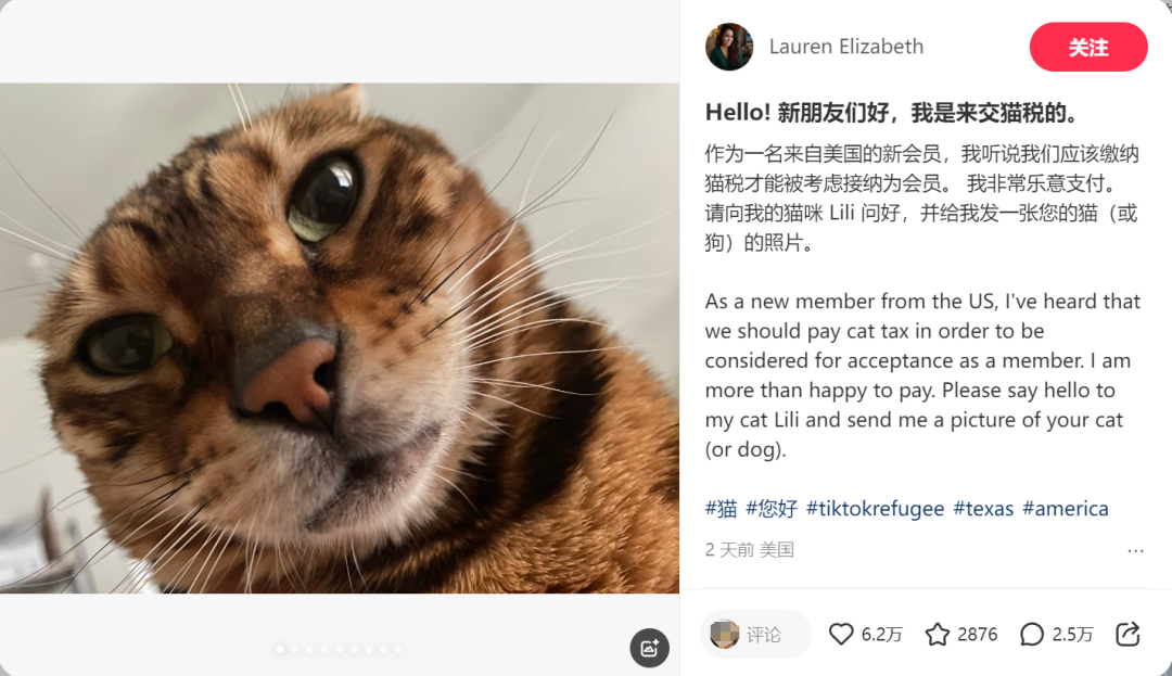 突发，美国政府要力保TikTok了！？赛博逃亡已轰动全世界…