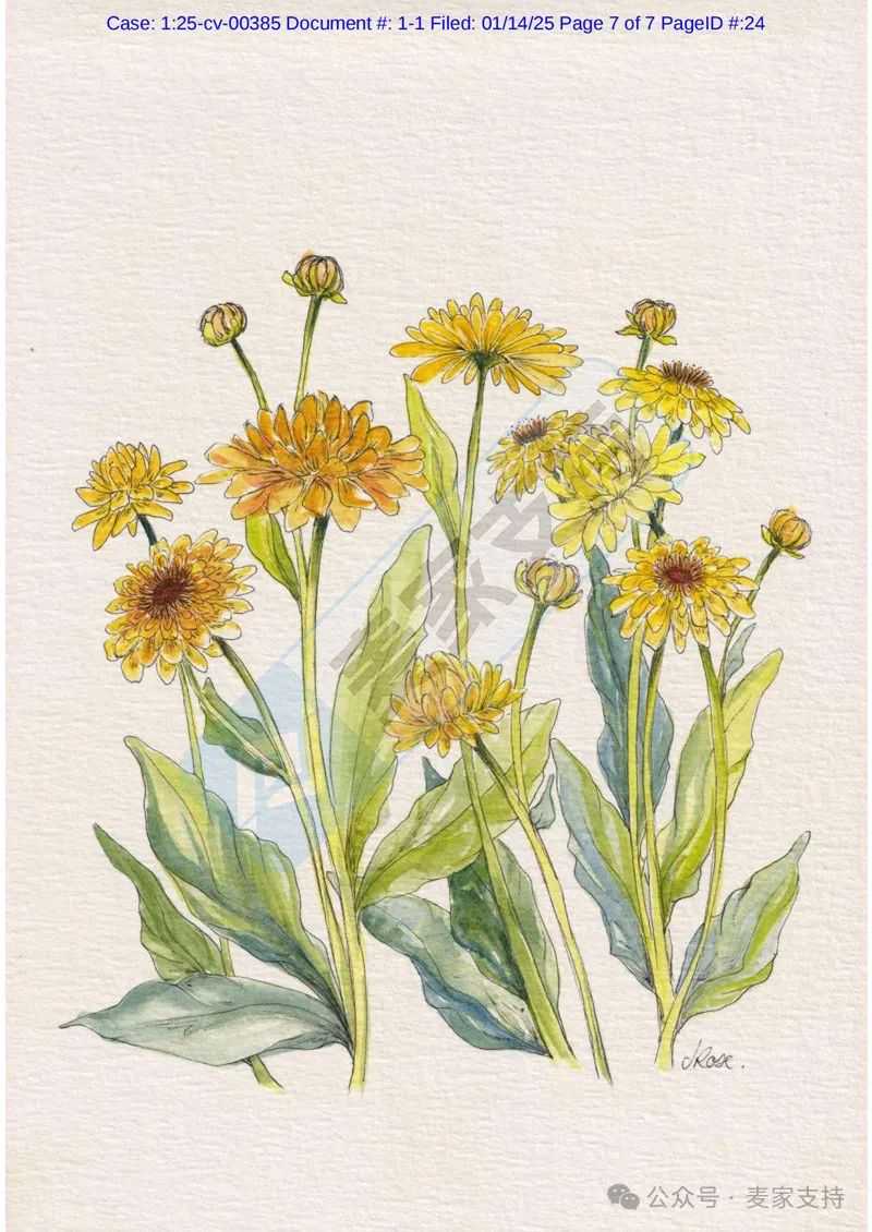 25-cv-00385，波斯菊图案有风险，keith新版权成对维权
