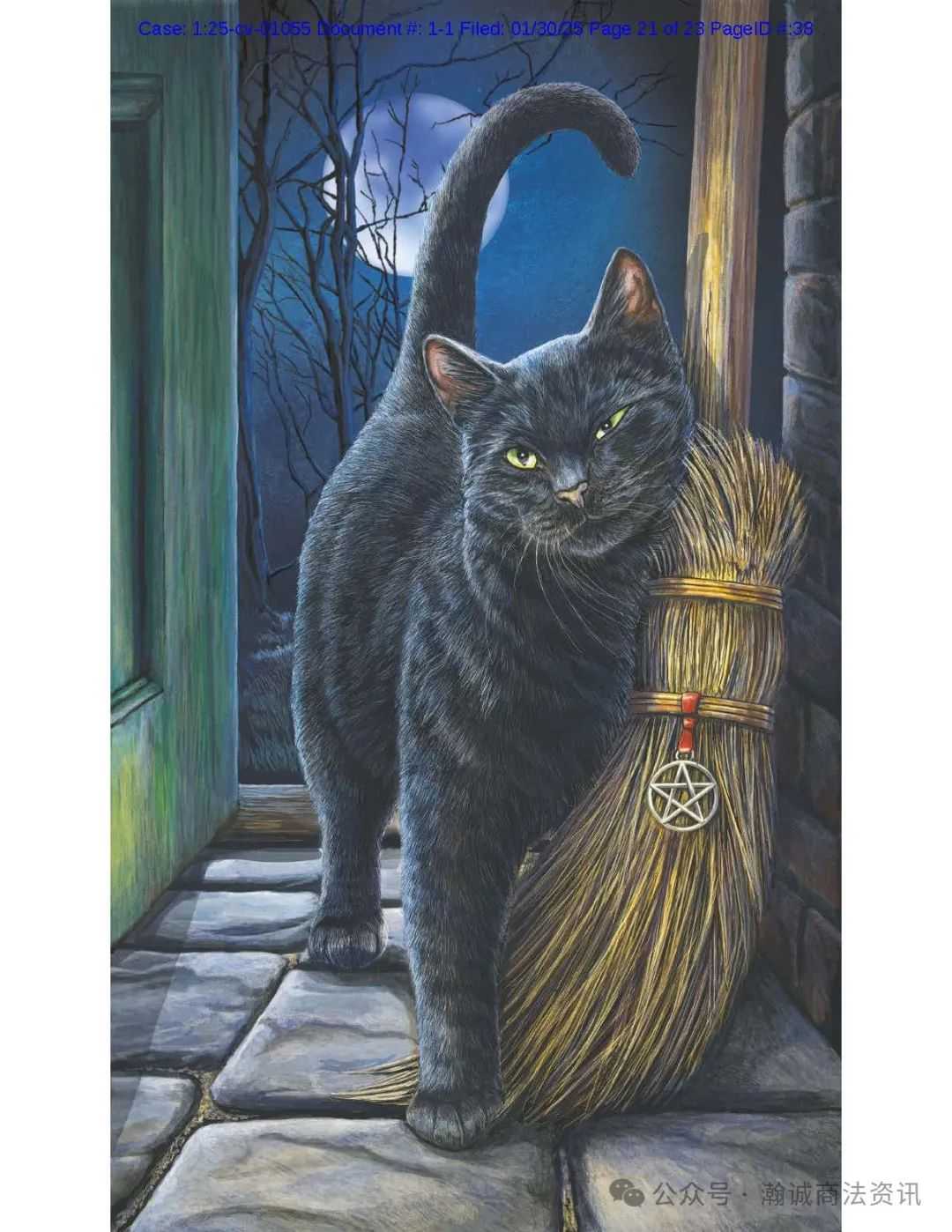 Keith律所代理艺术家LISA ANNE-MARIE PARKER再发版权案，涉及11张魔法风格版权画