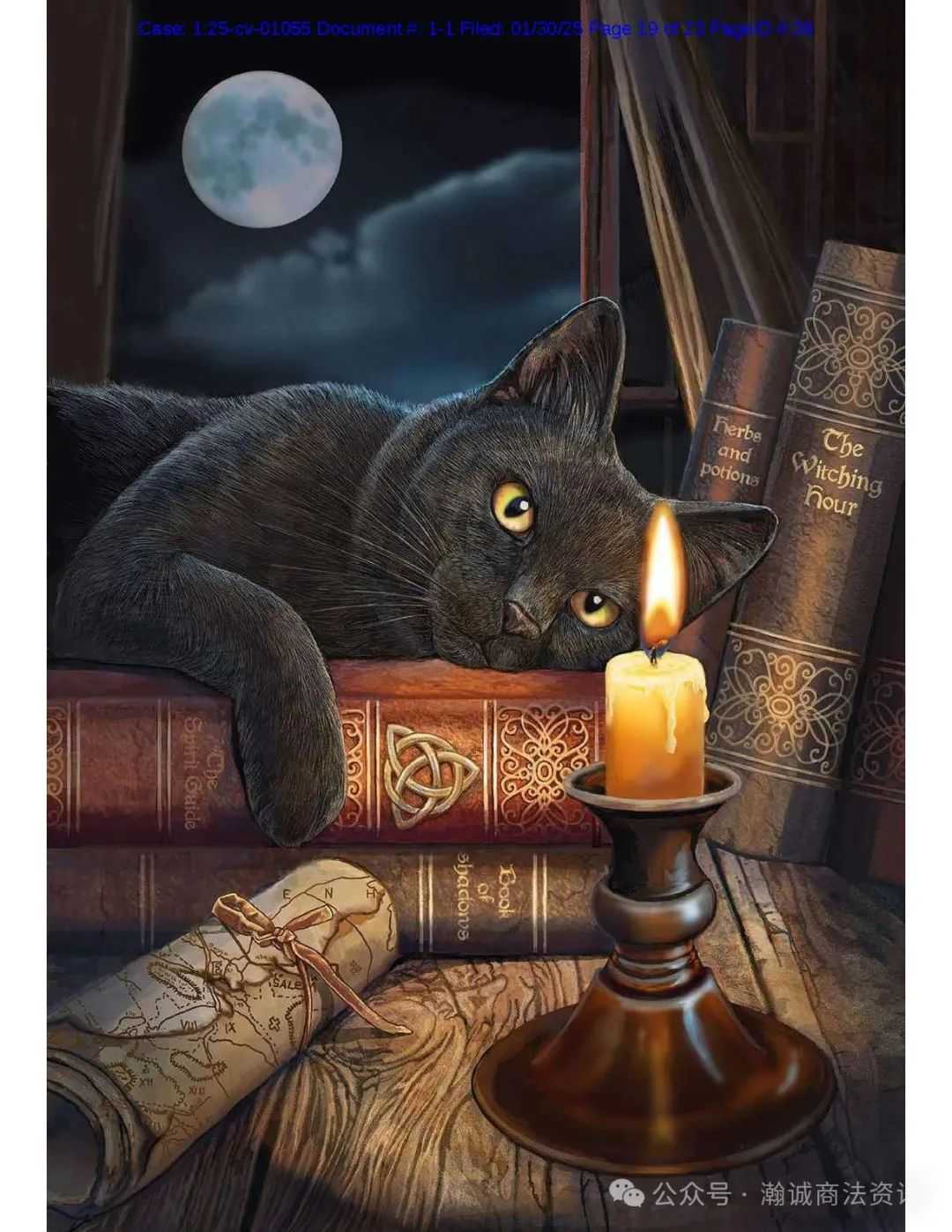 Keith律所代理艺术家LISA ANNE-MARIE PARKER再发版权案，涉及11张魔法风格版权画