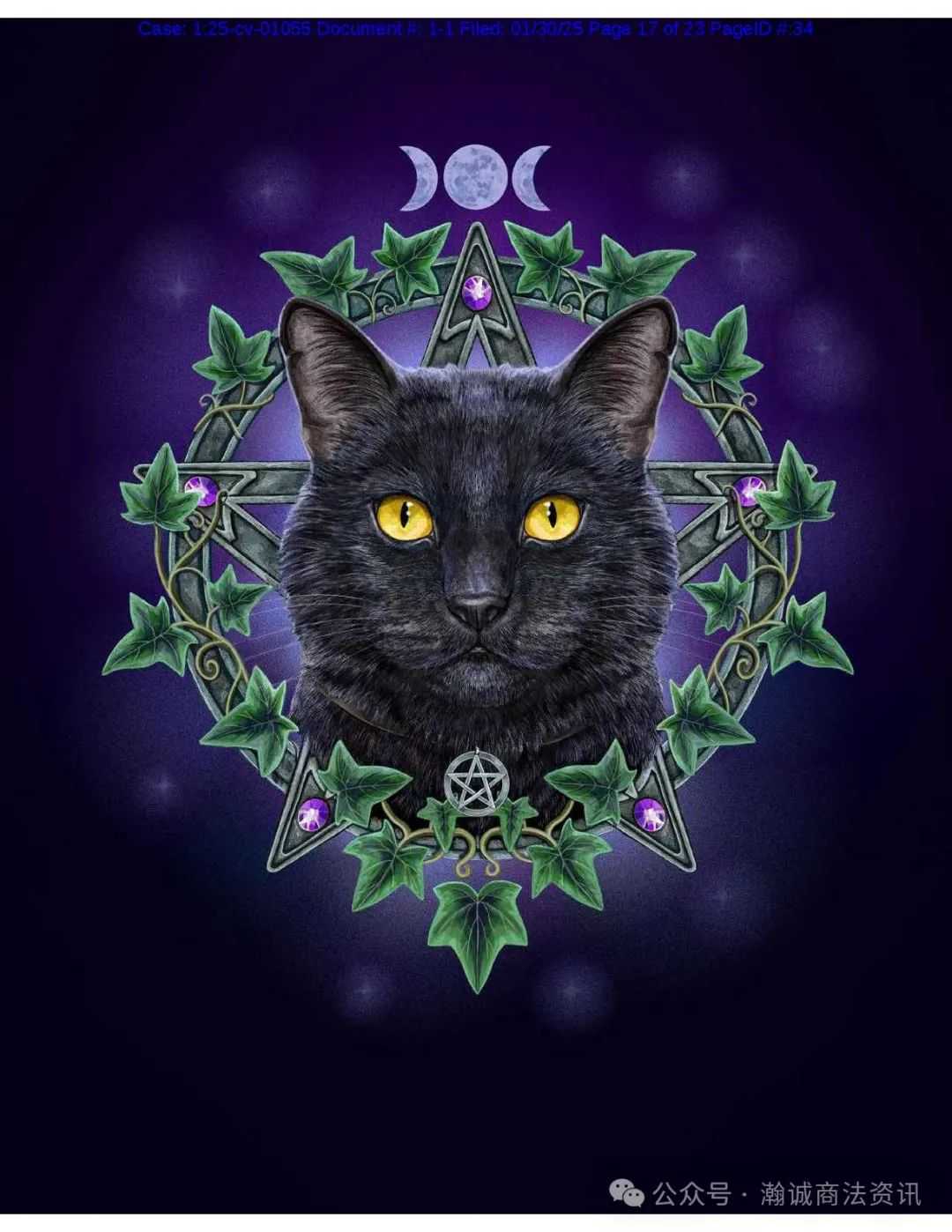 Keith律所代理艺术家LISA ANNE-MARIE PARKER再发版权案，涉及11张魔法风格版权画