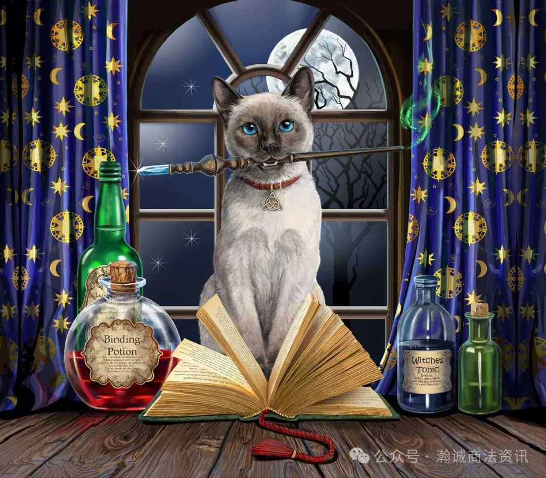 Keith律所代理艺术家LISA ANNE-MARIE PARKER再发版权案，涉及11张魔法风格版权画