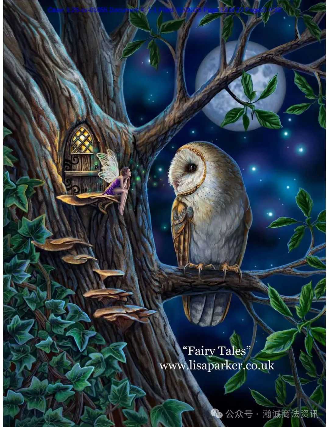 Keith律所代理艺术家LISA ANNE-MARIE PARKER再发版权案，涉及11张魔法风格版权画