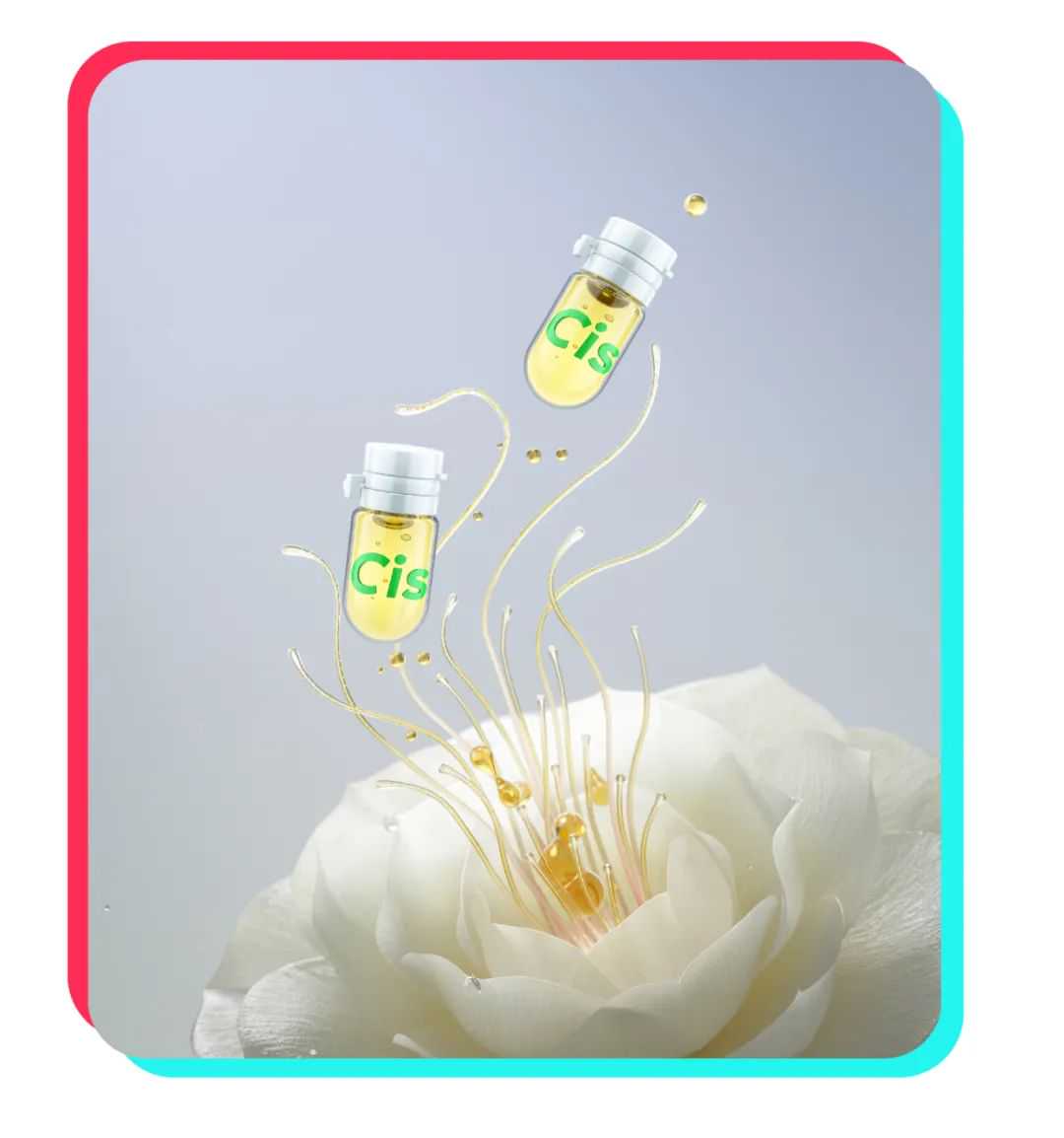 2025年怎么做好TikTok Shop？美妆出海品牌Cistto现身说法