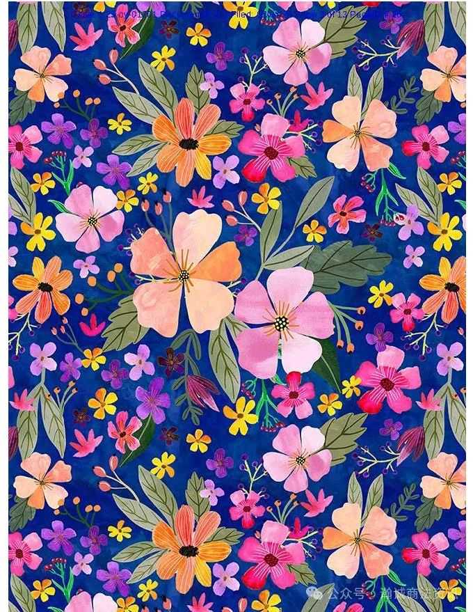 Keith律所代理西班牙艺术家Mia Charro再次发起版权案件（案号：25-cv-01201），涉及六张版权图