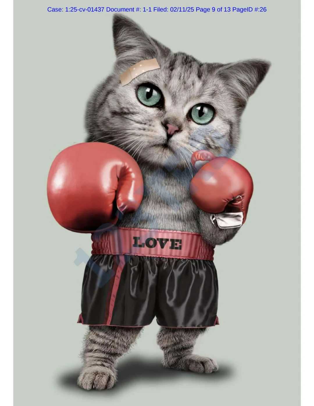 这些图商用有风险！数十张插画发起版权维权！