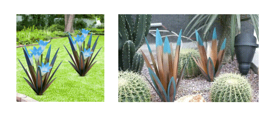 人造龙舌兰植物获外观专利；腾讯版权案胜诉，获6.16亿人民币赔偿！