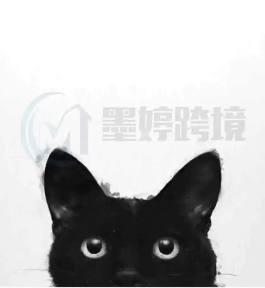 别乱用！刚下证的国人专利就提起TRO？绝美油画竟有版权！【25-cv-1491、25-cv-1466、25-cv-1481】