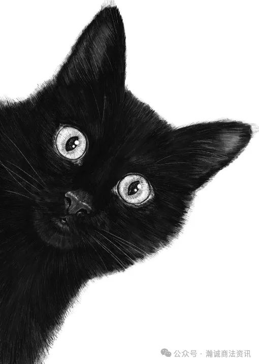 Keith律所再次代理哈萨克斯坦艺术家Valeriya Valerievna Korenkova发起版权案件