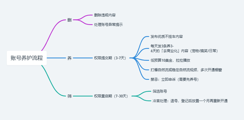 惨封五十个Tik Tok橱窗后的总结， 皮皮广告实战案例分享。