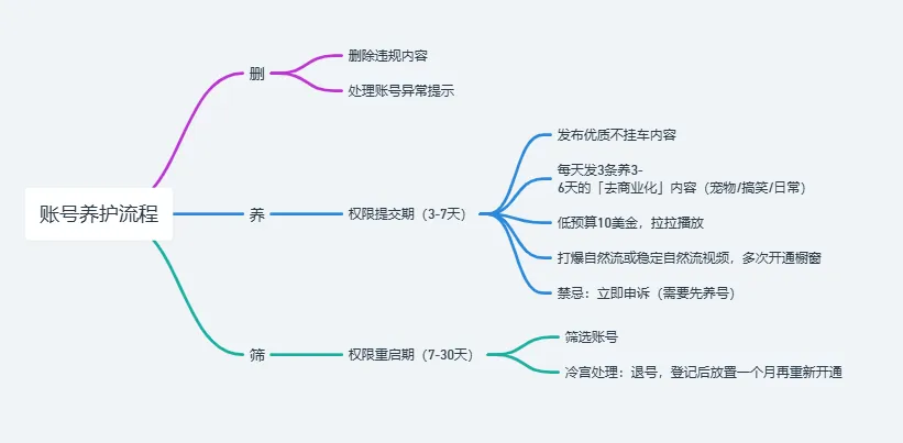 惨封五十个Tik Tok橱窗后的总结， 皮皮广告实战案例分享。