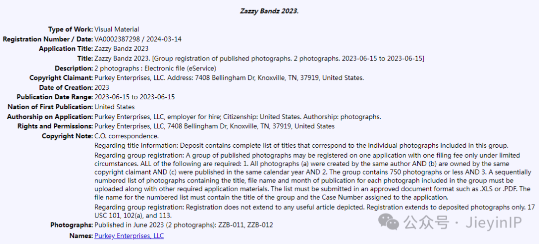 Zazzy Bandz 发带全方位维权，恐龙毛绒玩具版权曝光，被告名单已公开，速看排查！！！