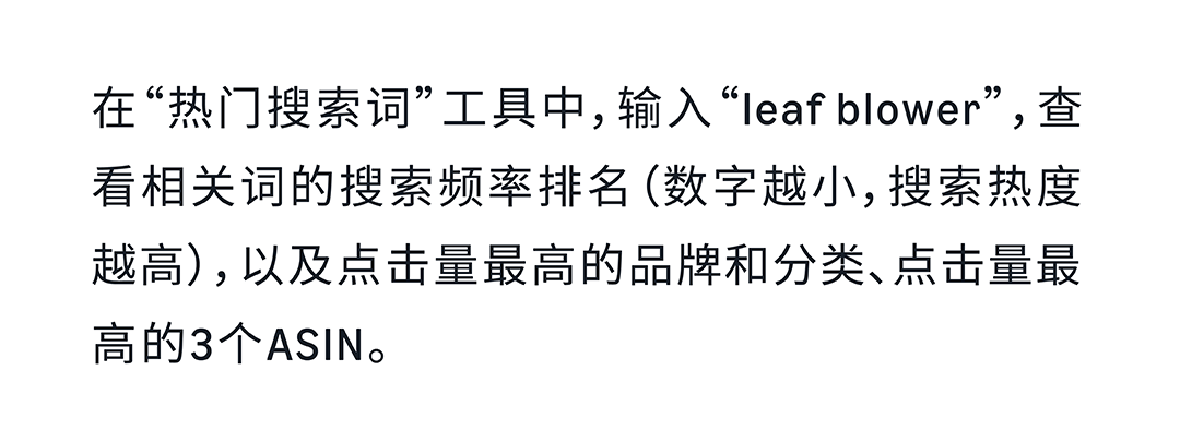 亚马逊启动阶段