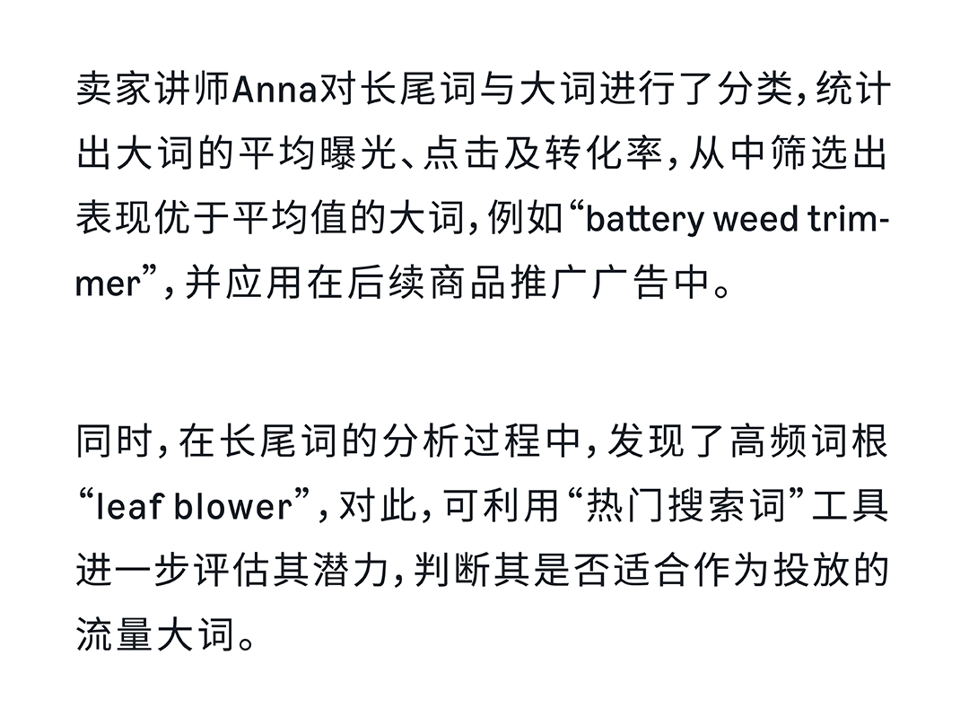 亚马逊启动阶段