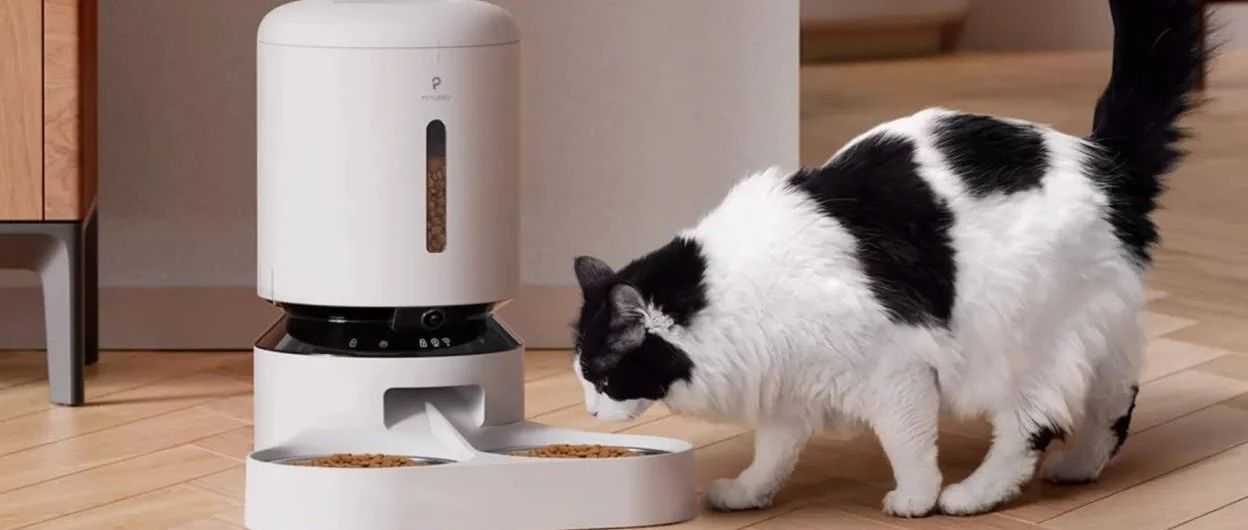 深圳铲屎官在海外卖智能宠物用品,成细分赛道Top1