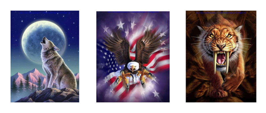 在亚马逊超1k+链接的洗发水再次起诉；18张版权图勿用、勿用！