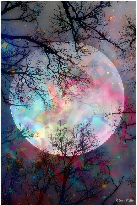 隐匿案件曝光!涉健身器材、DIY油画等跨境类目!