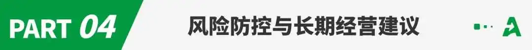 东欧电商市场深度解析：新手如何通过eMAG平台实现跨境增长