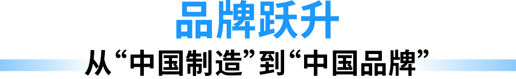 亚马逊全球副总裁Cindy Tai戴竫斐：中国卖家锻造全球竞争力的一个新思路