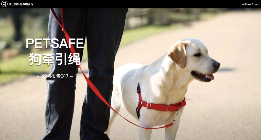 2025跨境战略突围：DTC爆款背后的5大商业模式