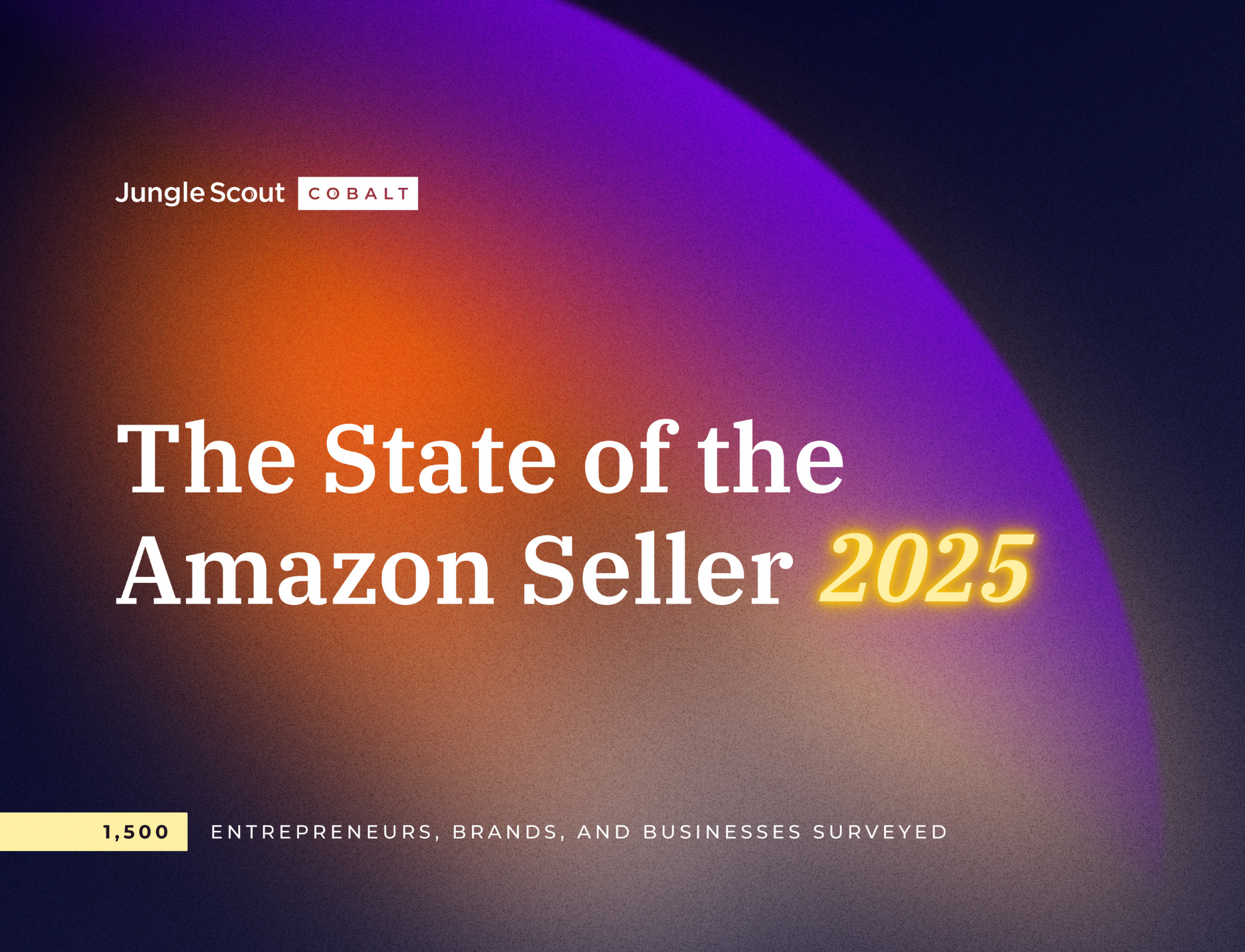 《2025年亚马逊卖家现状》报告：大企业与中小卖家运营差异