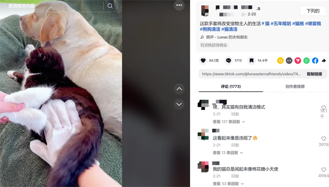 利润超10倍，2元宠物湿巾已在TikTok月赚百万