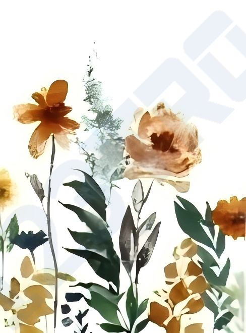 小红书进军跨境电商，是新机遇？（新增维权版权，100多名卖家中招）