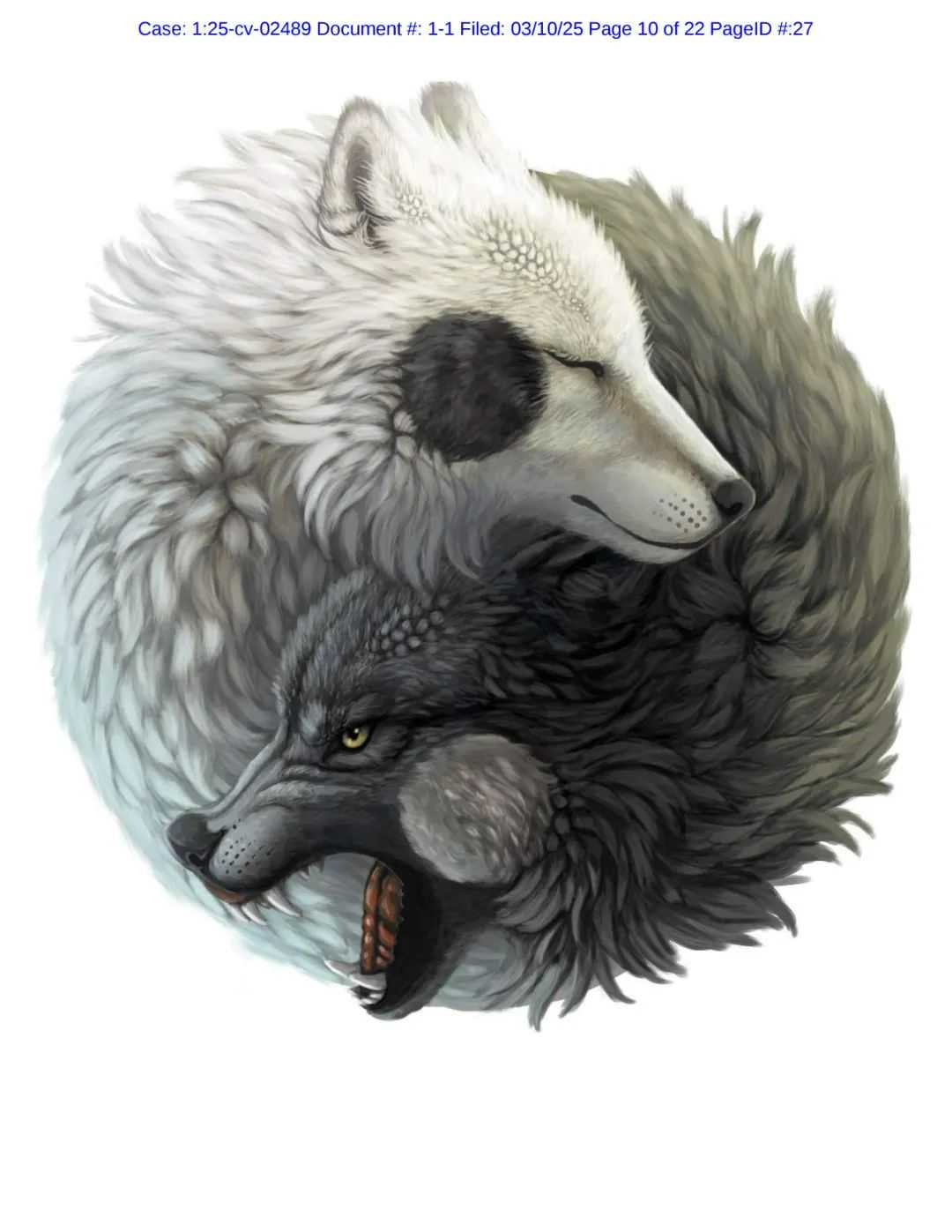 小红书进军跨境电商，是新机遇？（新增维权版权，100多名卖家中招）