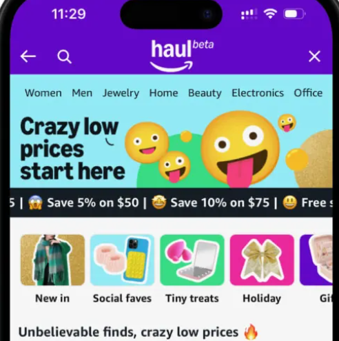 亚马逊低价商城Haul,急匆匆杀入欧洲的背后