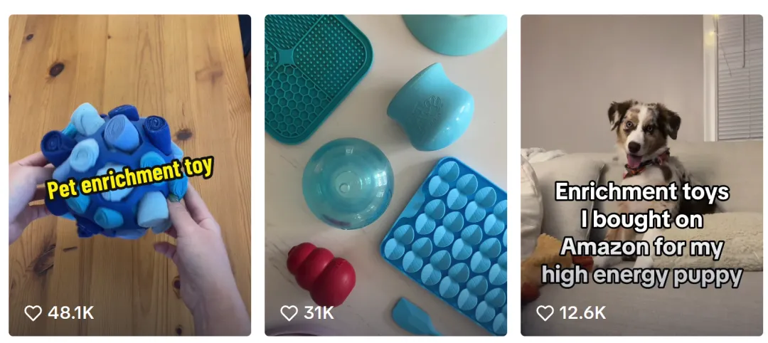 TikTok月销10000+,$20美金的宠物玩具靠情绪成为爆款!