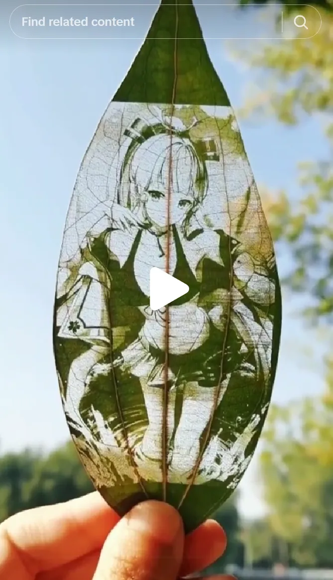 刚上线就破万,TikTok干花书签终于火了