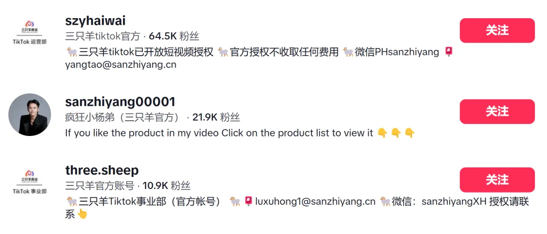 小杨哥回归！重磅开启TikTok东南亚招商