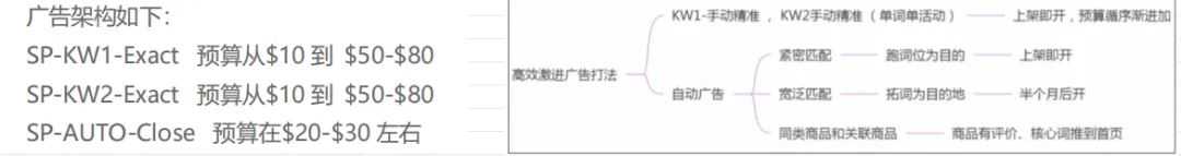 美国站新品上架4个月，用尽所有合规手段都推不起来？大家类目的头部流量结构是怎么样的？他们推新的特点是什么？