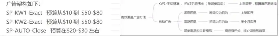 美国站新品上架4个月，用尽所有合规手段都推不起来？大家类目的头部流量结构是怎么样的？他们推新的特点是什么？