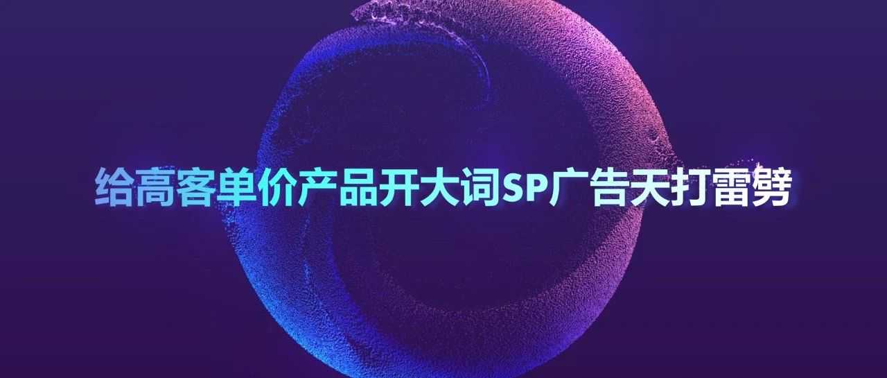 给高客单价产品开大词SP广告天打雷劈