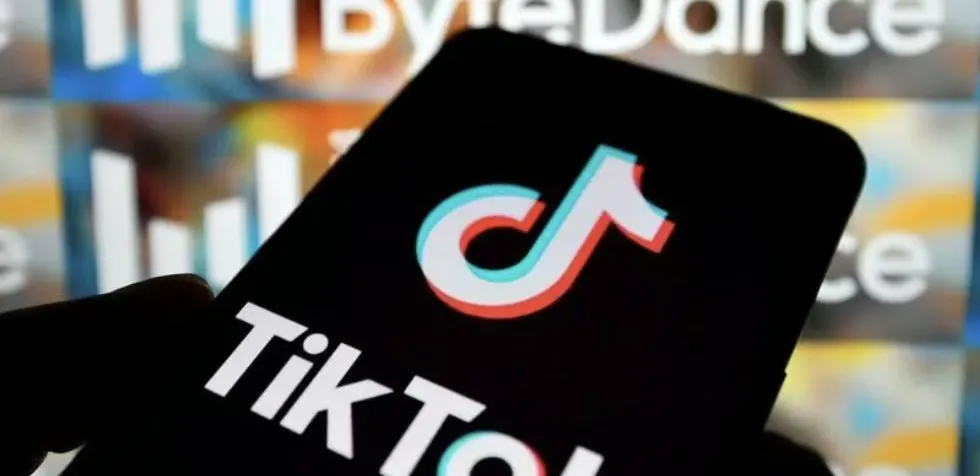 TikTok带货视频播放量超500万,便携吹叶机在美销量飙升